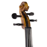 Cecilio CVN-500 Solidwood Ebony Fitted Violin with D'Addario Prelude Strings, Size 1/2
