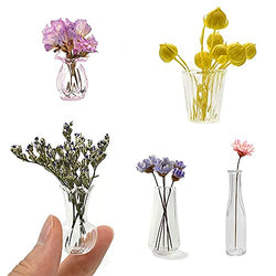 iLAND Miniature Dollhouse Accessories for Dollhouse Furniture, Glass Vases w/ Dried Flowers Set (Pretty 5pcs)