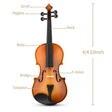Eastar 4/4 Violin Set Full Size Fiddle for Adults with Hard Case, Shoulder Rest, Rosin, Two Bows, Clip-on Tuner and Extra Strings，EVA-330