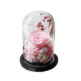 Amoleya 4.9 Inch Handmade Preserved Rose Enchanted Rose that Lasts in Glass Dome,Pink