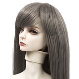 MUZI WIG SD BJD Doll Hair Wigs, Heat Resistant Fiber Long Straight Doll Wig for 1/3 BJD/SD Doll (L.SGZ-1071-3-171)