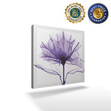 Sailground 20" W x 20" L Wall Art Canvas Paintings Purple Romantic X Ray Flower Wall Decor with Framed Canvas Prints Ready to Hang for Living Room Office Kitchen Artwork Decor