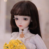 BBYYT 1/4 BJD Fashion Doll 3D Eyes Collector Doll Scale Ball Jointed Doll Articulated Dress Fully Poseable Doll