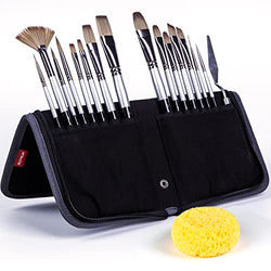 Transon Art Paint Brush Kit 16 Paint Brushes with Foam Brush Sponge Spatula  and Brush Case for Oil, Acrylic, Watercolor, Gouache, Painting Pink Color