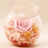 SANRAN Handmade Preserved Real Rose Present Gorgeous Led Mood Light, Upscale Gift Exquisite Eternal