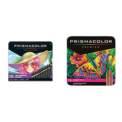  Prismacolor Premier Dual-Ended Art Markers, Chisel Tip and  Fine Tip, Hyper Bright Colors, 12 Count : Arts, Crafts & Sewing