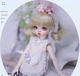 1/6 BJD Doll,10.63 Inch Ball Jointed Body Dolls,Can Changed Makeup and Delicate Birthday Doll Toy Doll Girl Child Joints Movable Doll Gift - Rui