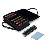 Pyle Professional Brass Metal Covered 10 Hole 7 Piece Diatonic Harmonica Kit - Blues Harp Set Includes Storage Case and Polishing Cloth - Key of C -Great for Pro, Beginner Lessons or Band - PHARM48ST