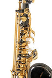 Roy Benson MOD.AS-202K EB Alto Black Lacquered Finish Saxophone with Case