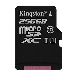 Professional Kingston 256GB GoPro Hero6 4k MicroSDXC Card with custom formatting and Standard SD