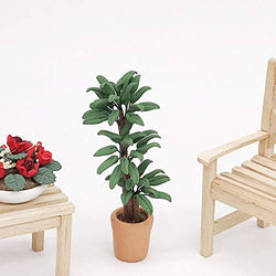 BARMI 1/12 Realistic Leafed Plant Pot Pottery Miniature Doll House Garden Decoration,Perfect DIY Dollhouse Toy Gift Set