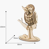 Rolife Build Your Own 3D Wooden Assembly Puzzle Wood Craft Kit Owl Model