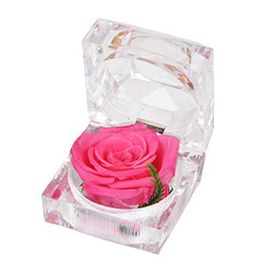 Handmade Preserved Fresh Flower Rose with Acrylic Crystal Ring Box ，a Gifts for