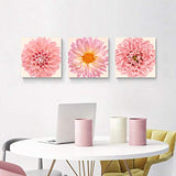 Flower Picture Canvas Wall Art: Chrysanthemum Floral Artwork Pink Gerbera Daisy Paintings Print Set for Walls(16"W x 16"H x 3 PCS)