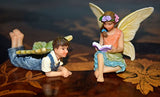 The Miniature Fun To Read Brother & Sister Garden Fairy Set by Twig & Flower