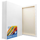 FIXSMITH Stretched White Blank Canvas - 16 x 20 Inch,Pack of 6,Primed,100% Cotton,5/8 Inch Profile of Super Value Pack for Acrylics,Oils & Other Painting Media.