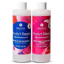Pro Marine Supplies Art Resin –16 Oz. Kit Pro Art Resin Kit – Art Resin Epoxy Clear – Easy to Use – High Gloss Intense Shine – Ideal for Photography, Wood, Artwork
