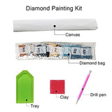 DIY Diamond Painting Kits for Adults, 5D Round Full Drill Diamond Art Dotz Kits, Children Home Wall Decor Gift (#9-Dolphin)