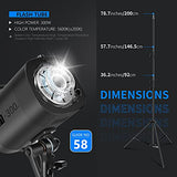 Neewer 600W Photo Studio Strobe Flash Lighting Kit: (2)S101 300W Monolights with Bowens Mount,(2)Softbox,(1)RT-16 Trigger,(2)Light Stands,(1)Reflector and Bag for Studio, Product, Portrait Photography