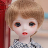 ZDD Boy Body BJD Doll 1/6 Mini SD Doll Cute 26 cm/10.23 Inch Joint Doll + Clothes + Glasss Eyes Accessories Girl Birthday Present, Toy Gifts for Children