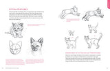 How to Draw Cats and Kittens: A Complete Guide for Beginners