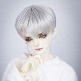 HMANE BJD Doll Wig, Male Short Hair Wig for 1/3 BJD Dolls - Silver White (No Doll)