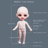 ICY Fortune Days 6.3 Inch 1/8 Scale Pocket Doll Series, Ball Jointed Doll with 28 Joints, for The Children 8 Age and Above(Hasky)