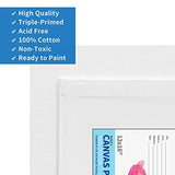 FIXSMITH Canvas Panels 14 Pack - 12 x 16 Inch Painting Canvas Panel Boards - 100% Cotton Primed Canvases - Super Value Pack - Artist Canvas Board for Acrylic, Oil & Tempera Painting