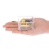 Pursuestar Acrylic Clear Gold Hand Crank Music Box for Mom/Dad/Daughter/Son - Unique Best Gifts for Birthday Christmas Thanksgiving Wedding Valentine Anniversary(Memory from Cats)