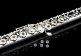 Glory Silver Plated Intermediate 17keys, Open/closed Hole C Flute with B Foot Joint,Offset G, with Case,cleaning Rod, Cloth, Joint Grease, and Gloves