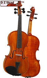 D Z Strad Violin Model 101 with Solid Wood with Case, Bow, Shoulder Rest, and Rosin (1/10 - Size)