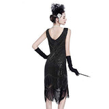 Flapper Dress 1920s Dresses for Women Gatsby Dresses for Women 20s Costumes 1920 Great Gatsby Roaring 20's Fringe Dress Black