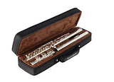 EastRock Open/Closed Hole Flutes C 16 Key for Beginner, Kids, Student -Silver Flute with Case Stand and Cleaning kit