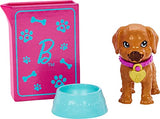 Barbie Doll and Accessories Pup Adoption Playset with Brunette Doll in Pink, 2 Puppies, Color-Change Animal and Pee Pad, Working Carrier and 10 Pieces