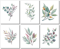 Botanical Prints Wall Art - Watercolor Eucalyptus Leaves - Farmhouse Wall Decor - (Set of 6) - 8x10 - Unframed