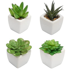 Coitak Fake Succulent Plants in Pots, Mini Assorted Artificial Faux Succulents, Potted Fake Cactus Cacti Plants with Ceramic Pots, Set of 4