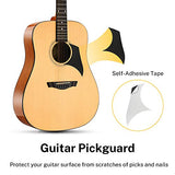 Donner Acoustic Guitar Beginner Adult Soild Spruce Top Dreadnought Acustica Guitarra Bundle Starter Kit Full Size 41 Inch with Gloss Finish Bag Tuner Truss Rod Pickguard String Winder DAD-812