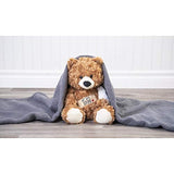 Ganz H14545 Get Well Bear Plush Toy, 14-inch Height, Brown