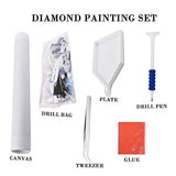 Uhitmi Unicorn 5d Diamond Painting Kits for Kids Adults, Premium Drill Diamond Art Painting with Dotz Accessories Tools, 15.7 x 11.8 Inch