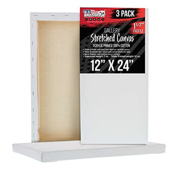 Stretched Canvases for Painting 24x36 Inch 2-Pack, 12.3 oz Triple Primed  Acid-Free 100% Cotton Blank Canvas, Large Canvases for Oil Paint Acrylics  Pouring & Wet Art Media, Pour Painting : : Arts
