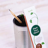 Sprout Pencils | Plant a Tree Edition | Graphite Plantable Pencils with Spruce Tree Seeds | Eco-Friendly Organic Wood | Prime Sustainable Gift Engraved with Inspirational Quotes | 5 Pack