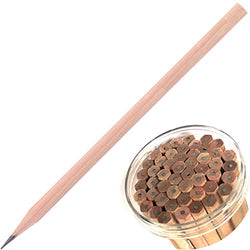2B Pencil 50-Pack Bundle Natural Wooden Hexagonal Pencils in a Bucket Smooth Writing for Computer Scoring Exams Schools Offices Drawing Sketching