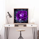 Flower Diamond Painting Kits for Adults, 5D Crystal Diamonds Art with Accessories Tools, Purple Rose DIY Art Dotz Craft for Home Décor, Ideal Gift or Self Painting