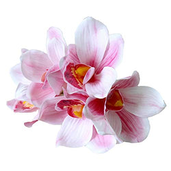 Real Touch 3D Printing 8PCS Cymbidium Orchid High Quaulity Latex Artificial Flower Bouquet for