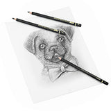 TAMATA Professional Drawing Sketching Pencil Set - 12 Pieces Art Drawing Graphite Pencils(12B - 4H), Ideal for Drawing Art, Sketching, Shading, for Beginners & Pro Artists