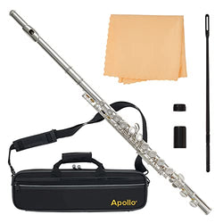 Apollo Flute with C foot, complete with case and accessories