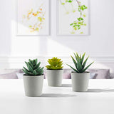 Artificial Succulents Set of 3 Mini Realistic Fake Plants with Plastic Pots for Home and Office Decoration, Including Aloe, Echeveria laui and Haworthia coarctata f. greenii, 4in (H) x 3.5in (W)