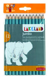 Derwent Lakeland Jumbo HB Graphite Pencils, Wallet, 12 Count (0700267)