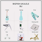BIGFISH Concert Ukulele 23 inch Professional Wooden ukelele Instrument kit, Travel Ukele with Beginner starter set, including Gig bag, Strap,Tuner,Capo, Cleaning cloth, Pick,Aquila Strings, Stand-(BU)