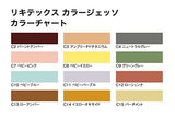 Liquitex Gesso 240ML NEW color parchment C15 (japan import)